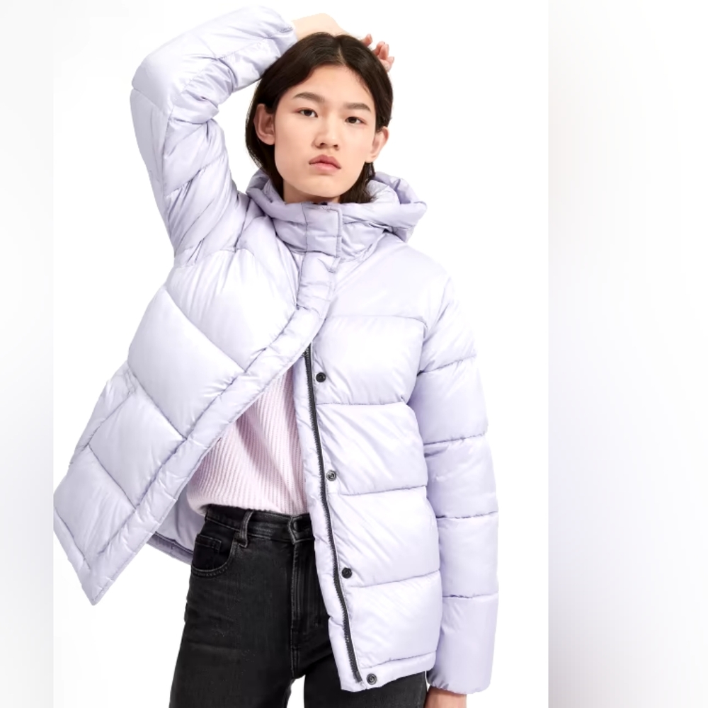 Everlane The ReNew Puffy Puff Jacket